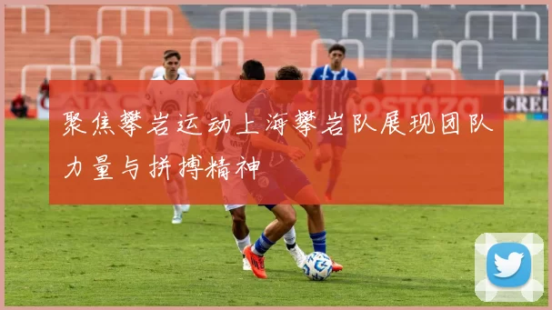 聚焦攀岩运动上海攀岩队展现团队力量与拼搏精神
