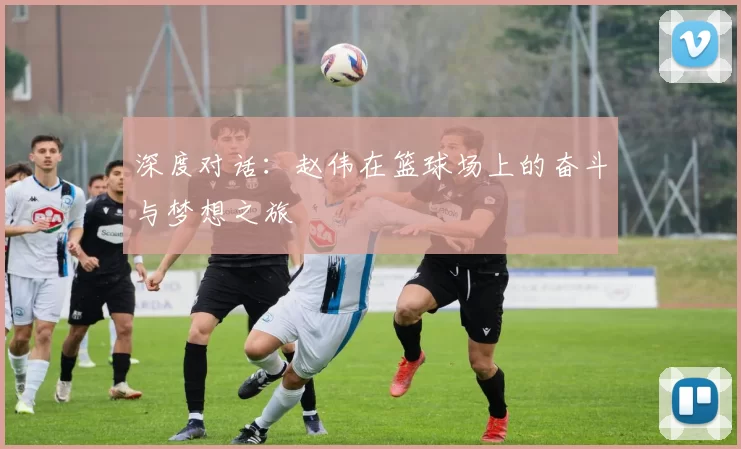深度对话:赵伟在篮球场上的奋斗与梦想之旅