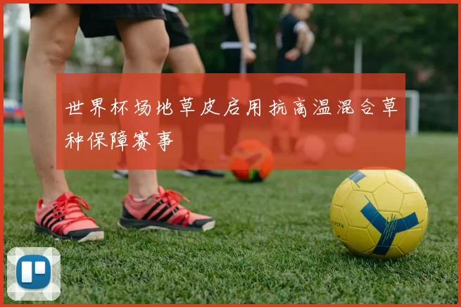 世界杯场地草皮启用抗高温混合草种保障赛事