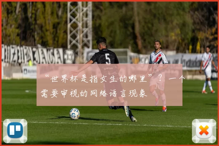“世界杯是指女生的哪里”？一个需要审视的网络语言现象