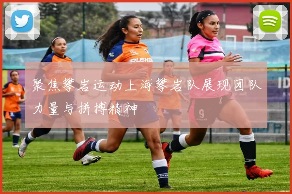 聚焦攀岩运动上海攀岩队展现团队力量与拼搏精神