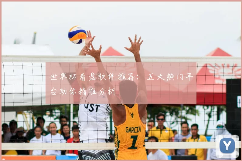 世界杯看盘软件推荐:五大热门平台助你精准分析