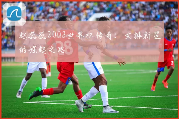 赵蕊蕊2003世界杯传奇:女排新星的崛起之路