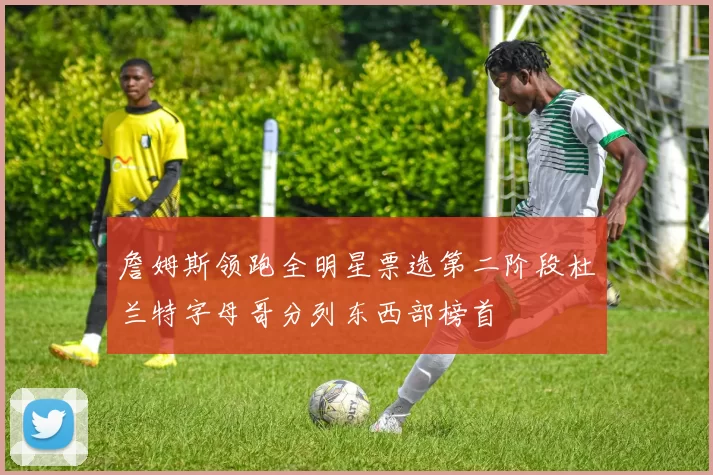 詹姆斯领跑全明星票选第二阶段杜兰特字母哥分列东西部榜首