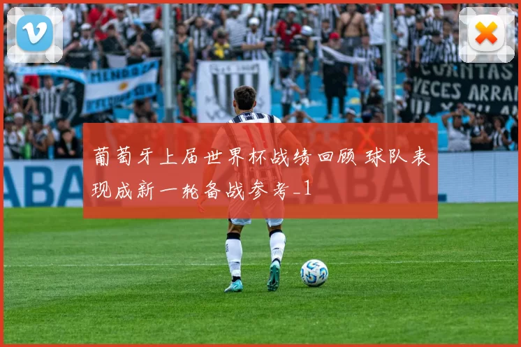 葡萄牙上届世界杯战绩回顾 球队表现成新一轮备战参考_1