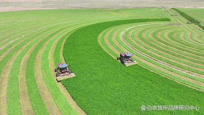 大阳城集团娱乐网站app666解析2025中央一号文件：为乡村产业与农牧业品牌建(图1)