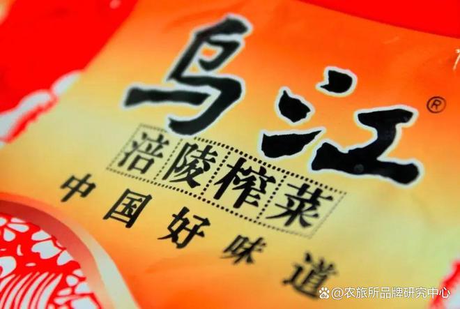 大阳城集团娱乐网站app666解析2025中央一号文件：为乡村产业与农牧业品牌建(图7)